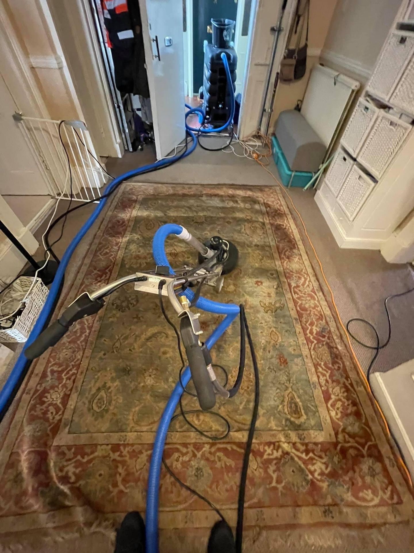 Rug cleaning Glasgow 