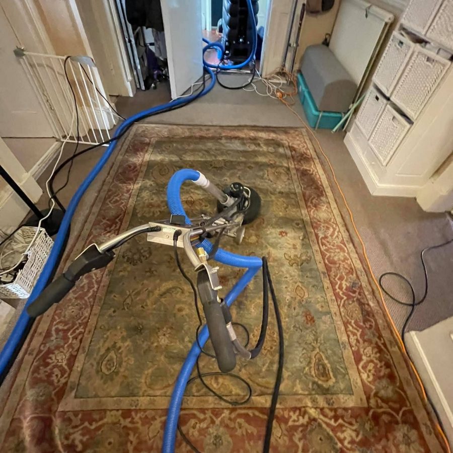 Rug cleaning using professional extraction system