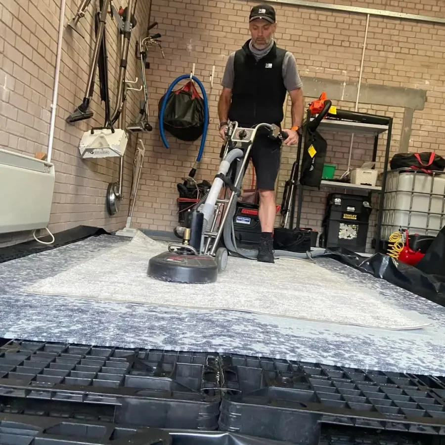 Carpet cleaning technician using professional rotary equipment.