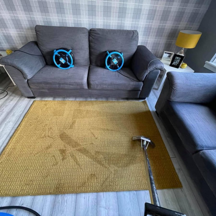 Upholstery cleaning removing stains from sofa