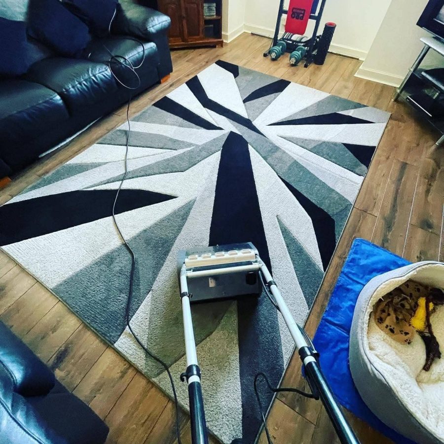 Professional carpet cleaning in a residential living room