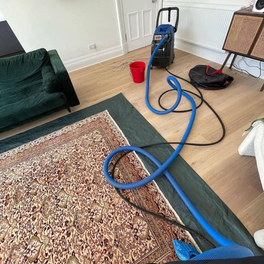Deep carpet cleaning with professional hose and wand.