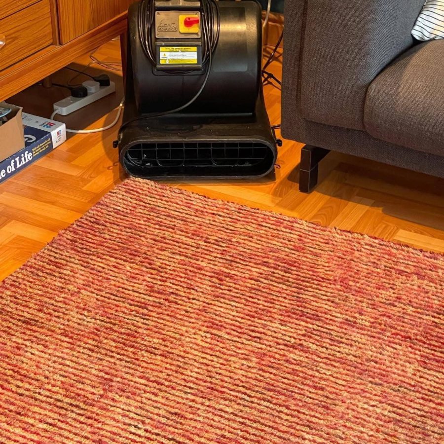 Rug cleaning before and after professional treatment.