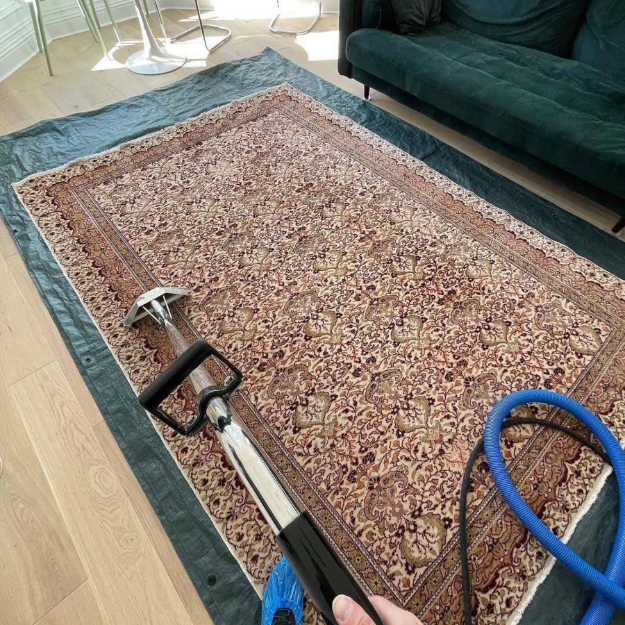 Large area rug professionally cleaned and refreshed.