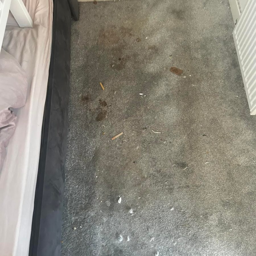 Before carpet cleaning showing heavy dirt and stains.