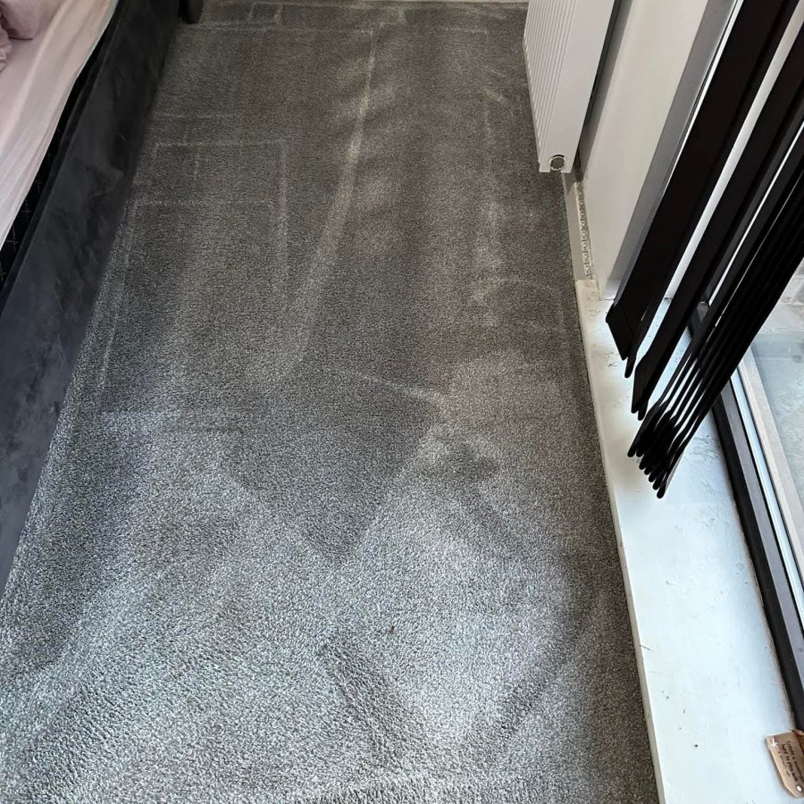 Professional carpet cleaning in progress using extraction equipment