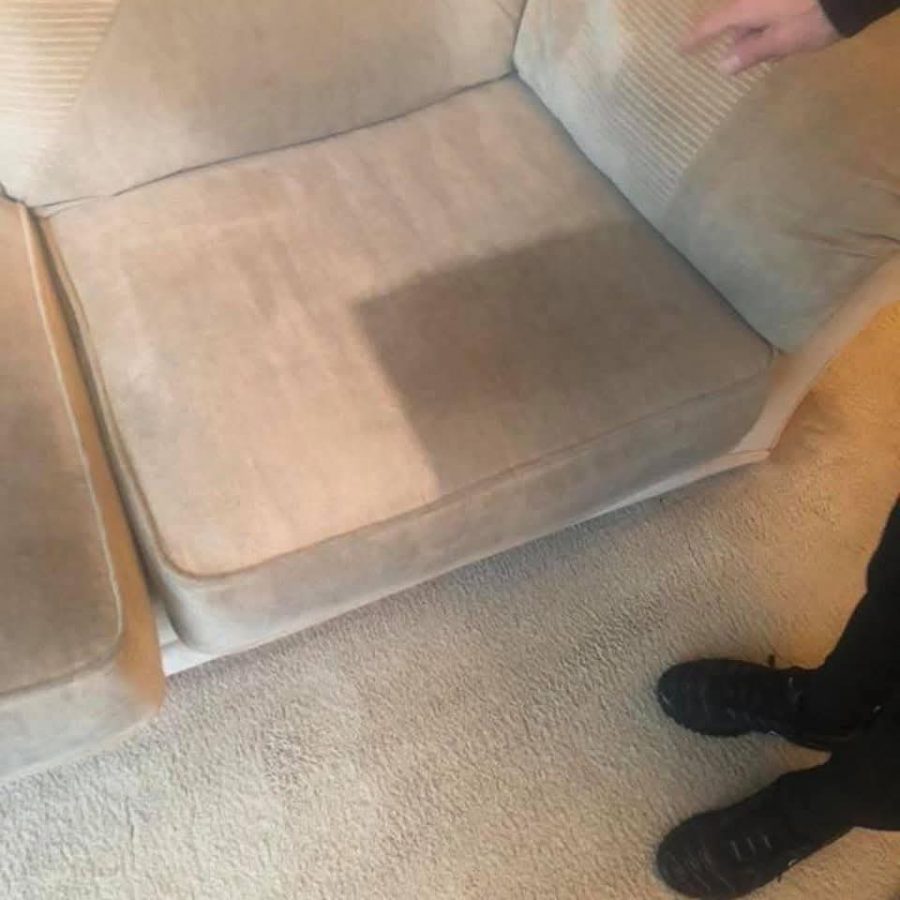 Freshly cleaned carpet after professional treatment