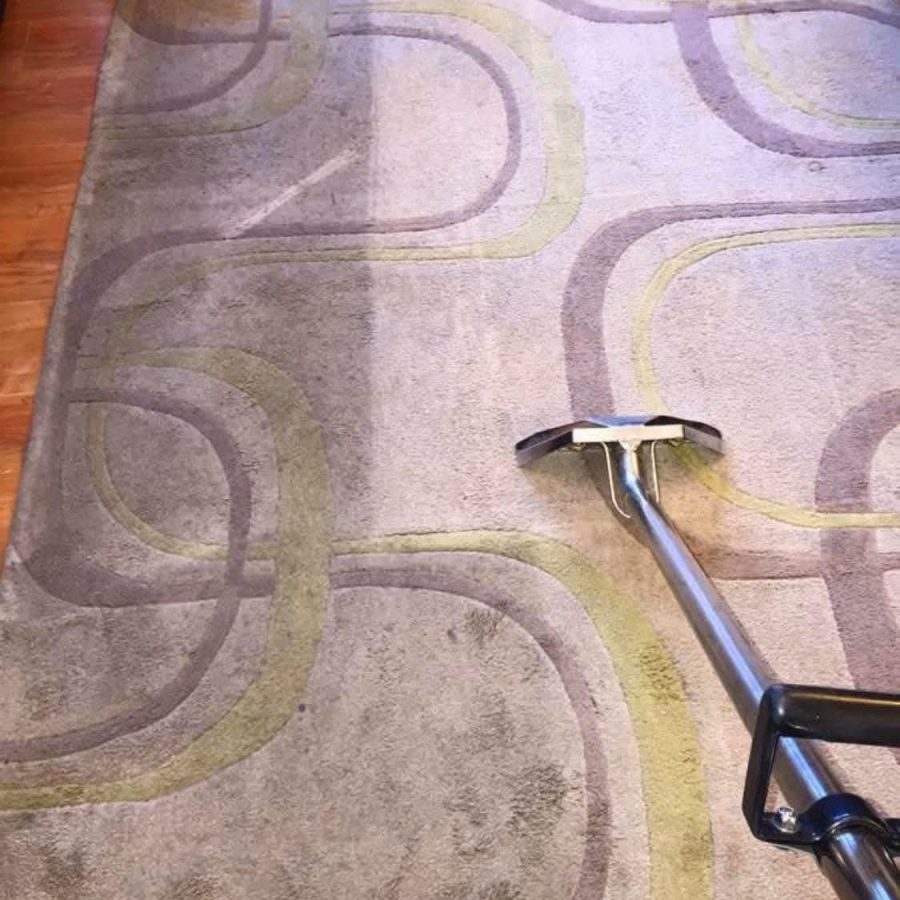 Deep carpet cleaning removing embedded dirt.